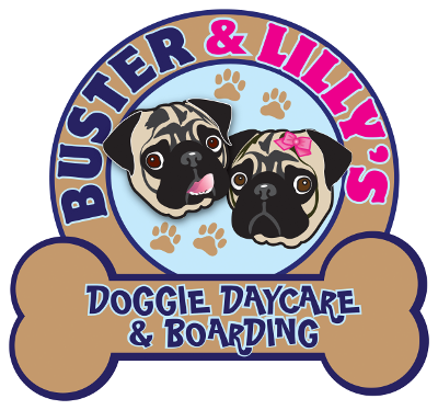 Buster & Lilly's Doggie Daycare